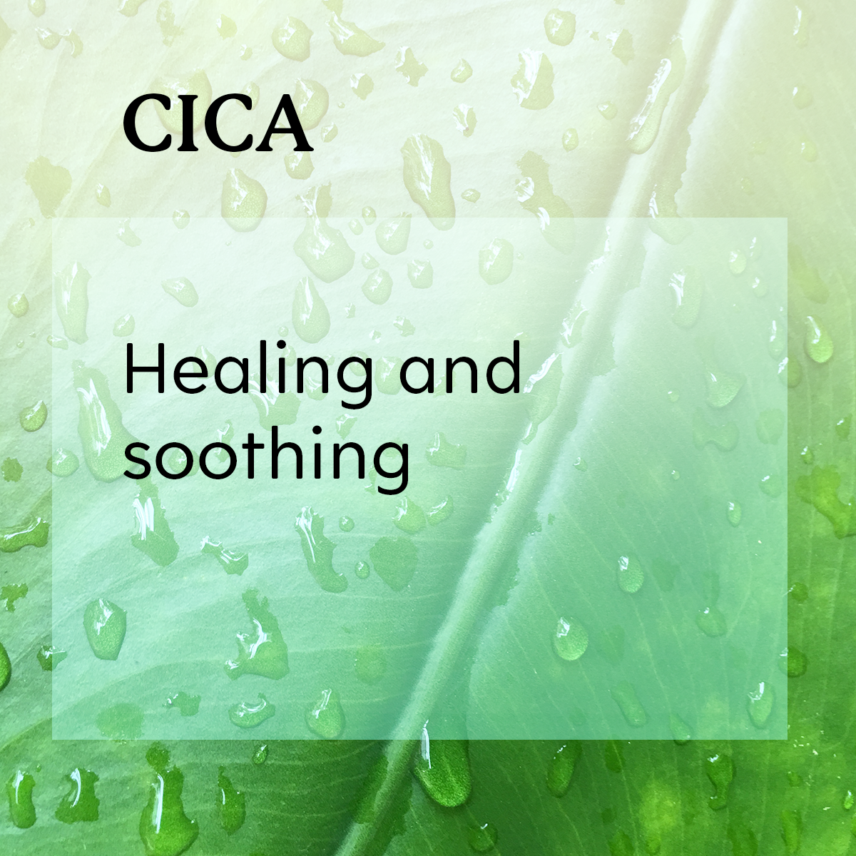 Green leaf with water droplets and 'CICA,' healing and soothing.