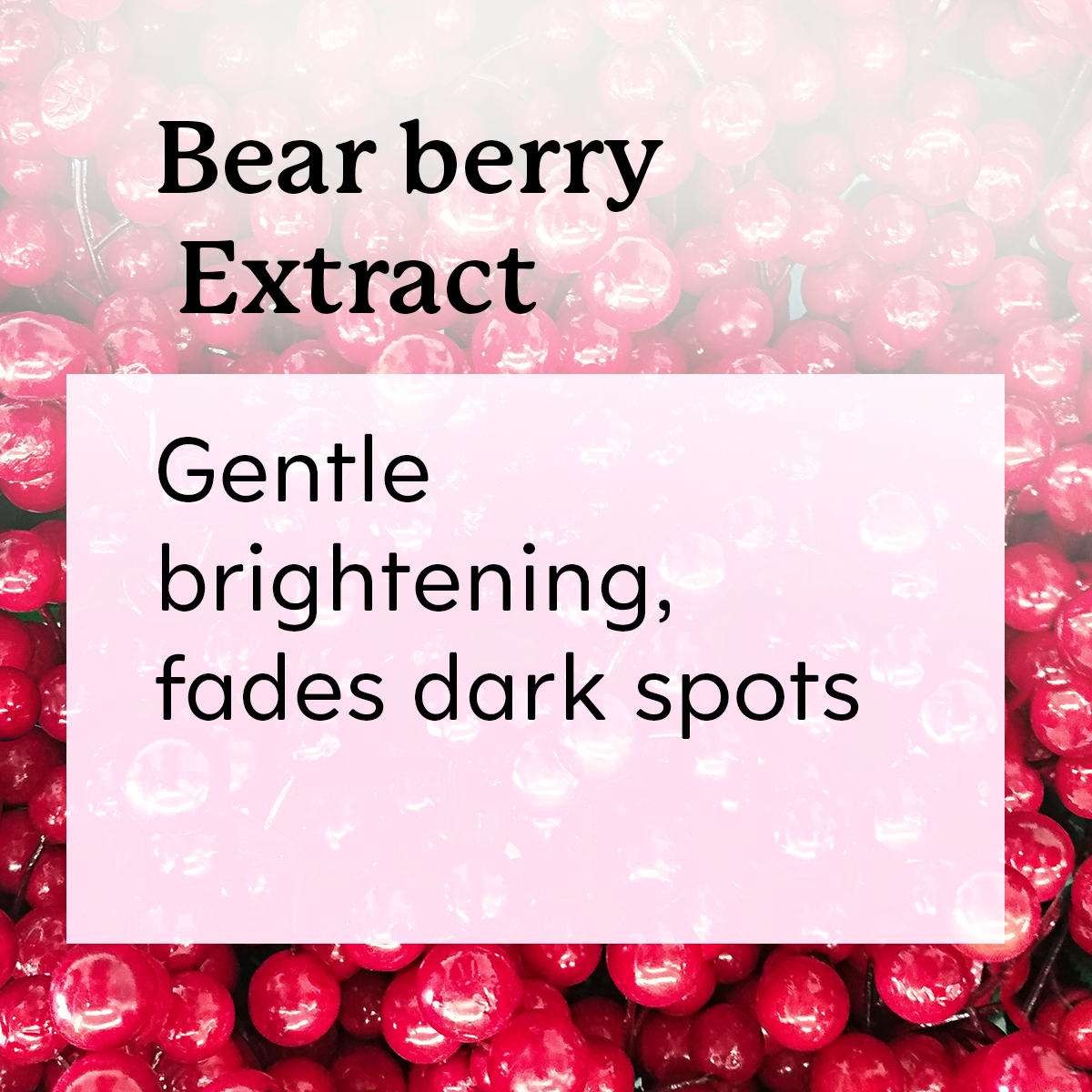 Bear berry extract 'Gentle brightening, fades dark spots